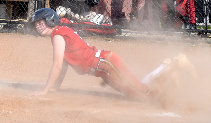 Beavers leave Black Bears in the dust